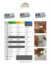 Load image into Gallery viewer, Nails in a Box - Short (Salon) Coffin