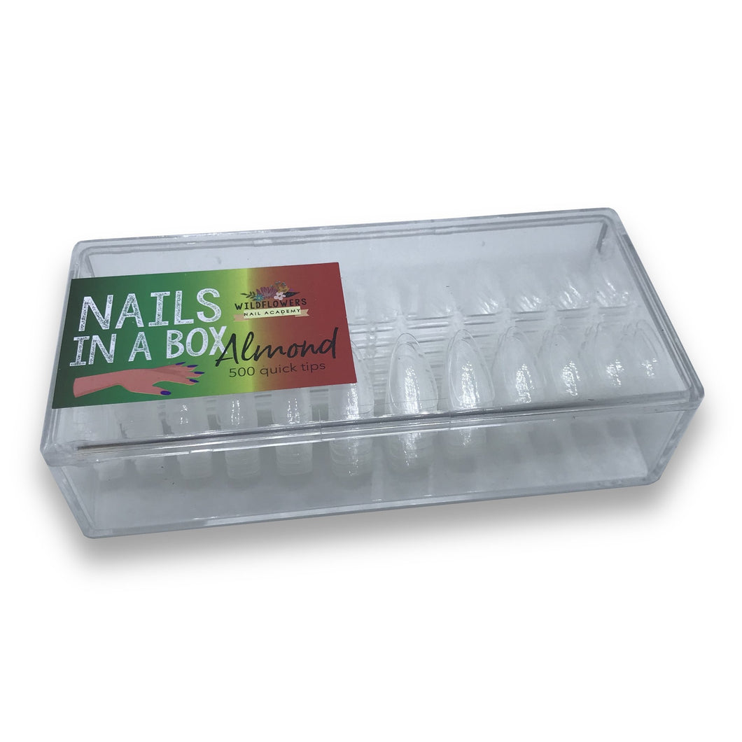Nails in a box - Almond