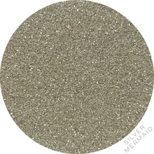 Load image into Gallery viewer, Glitter - Holo Micro Glitters - Silver Sifter Jar
