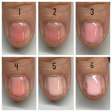 Load image into Gallery viewer, Build in a Bottle - BIB#4 (Myth)
