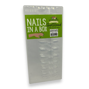 Nails in a Box - Short Rounded